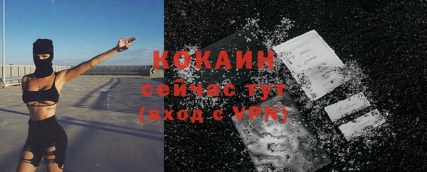 сатива Володарск