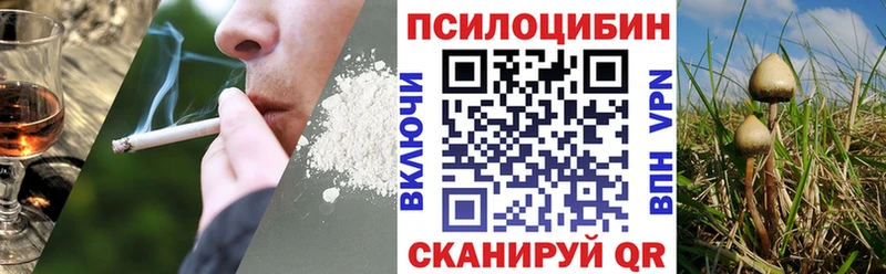 Галлюциногенные грибы прущие грибы МЕГА онион Зарайск